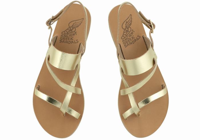 Sandales Bride Arrière Ancient Greek Sandals Alethea Leather   | XIS-4889212